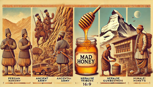 マッドハニーの歴史