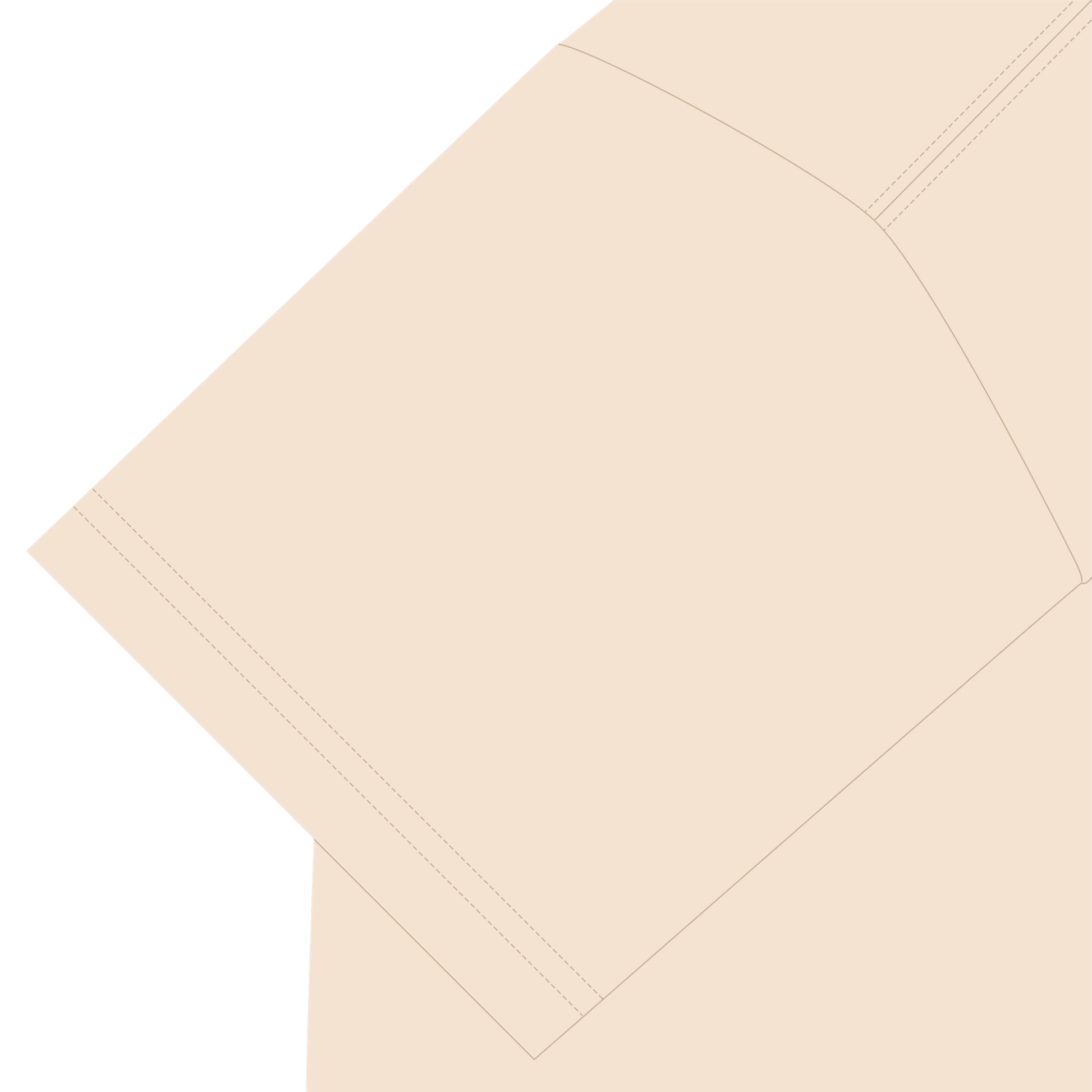 マッドハニー GTX3 Tシャツ natural image